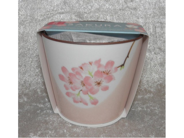 Mini Bonsai i keramikpotte, Kirsebærtræ